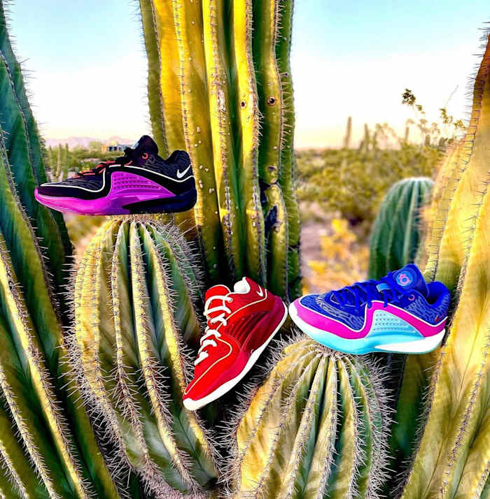 Three colorways of the Nike KD 16 on a cactus.